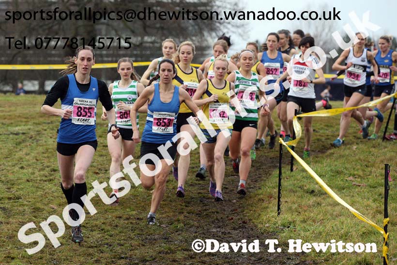 Senior womens North Eastern Cross Country, Aykley Heads, Durham. Photo: David T. Hewitson/Sports for All Pics